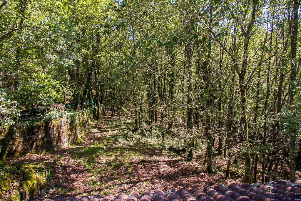Liiiving In Caminha | Oak Tree Chill House Villa Exteriör bild